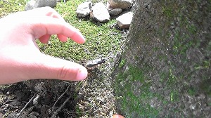 20201110114613(1)