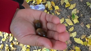 20201110114738(1)