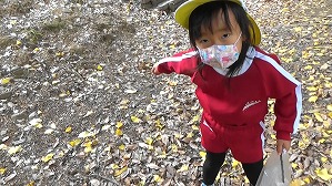 20201110115027(1)