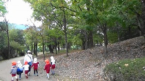 20201110115409(2)