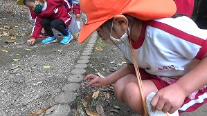 20201110115611(1)