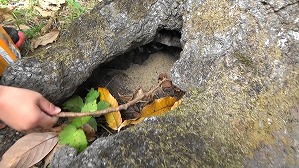 20201110115857(3)