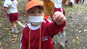 20201110115931(2)