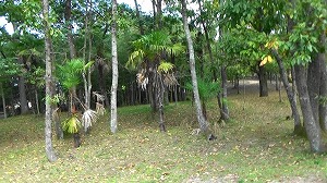 20201110120354(1)
