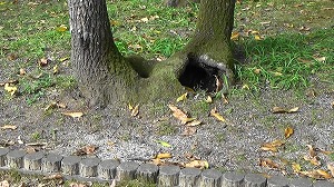20201110120526(1)