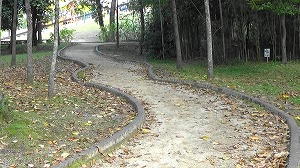 20201110120530(1)