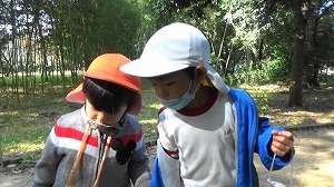 20201110120741(1)