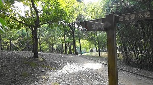 20201110121020(1)