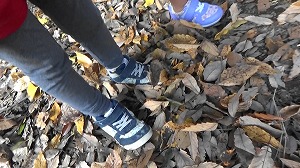 20201110121243(1)