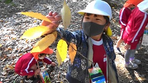 20201110121556(2)