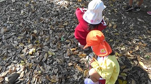 20201110121842(1)