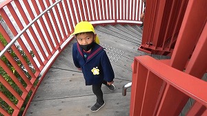20201112133348(1)