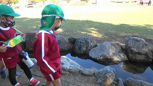 20201113112359(2)