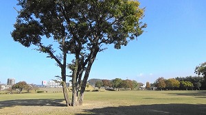 20201113112521(1)