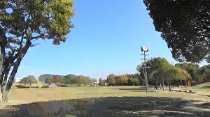 20201113112800(1)
