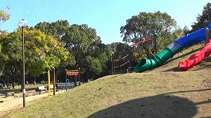 20201113113345(1)
