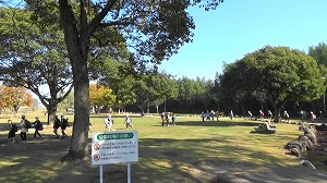 20201113113507(1)