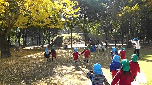 20201113113531(1)