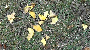 20201113113549(1)