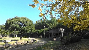 20201113113654(1)