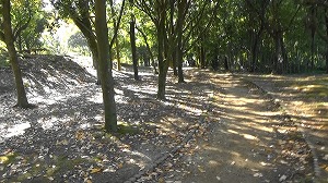 20201113113806(1)