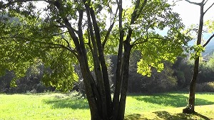 20201113114151(1)