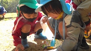 20201113114204(1)