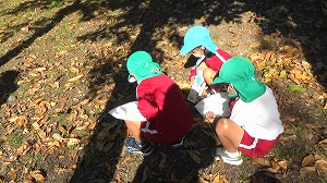 20201113114235(2)