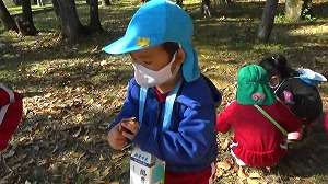 20201113114258(1)
