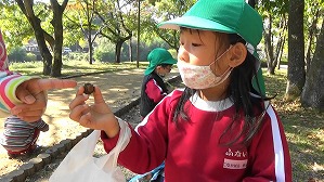 20201113114331(4)