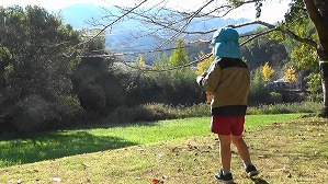 20201113114341(3)