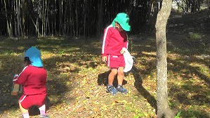20201113114436(1)