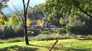 20201113114659(1)