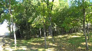 20201113114743(1)