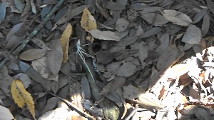 20201113115040(1)