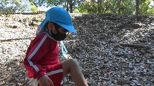 20201113115217(2)