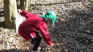20201113115221(2)