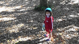 20201113115521(1)