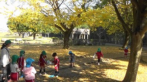20201113115629(1)