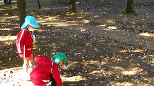 20201113115633(2)