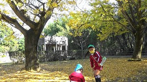 20201113115659(3)