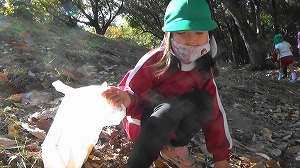 20201113115818(2)