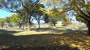 20201113120546(1)