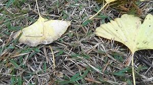 20201113121436(1)