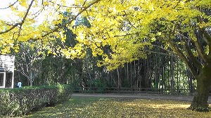 20201113121841(1)