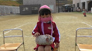 20201117113413(1)